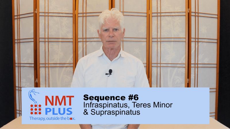 Nmct Module 06 Print 1 Pdf - Landscape Photos - Gorgeous High Resolution Collection