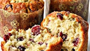 Delight Cranberry Orange Muffins