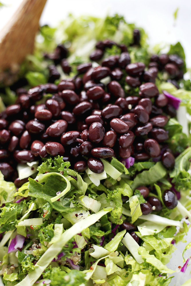 Veggie Black Bean Masses