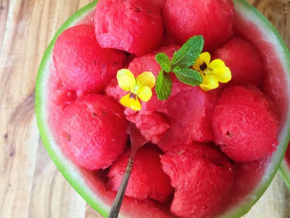 Watermelon Mint Sorbet
