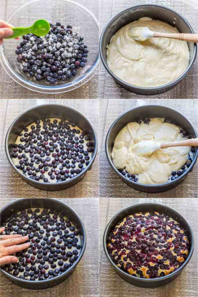 Delicious Lemon Yogurt Cake with Blueberry