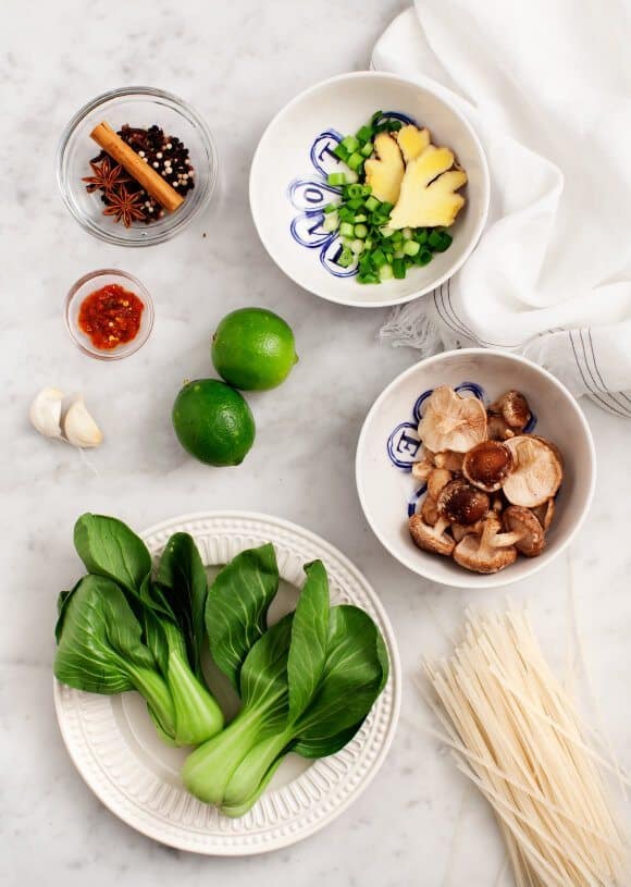 Easy Vegetarian Noodles Soup