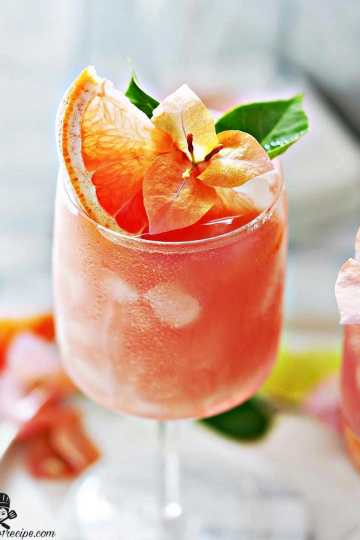 Perfect Paloma Cocktail