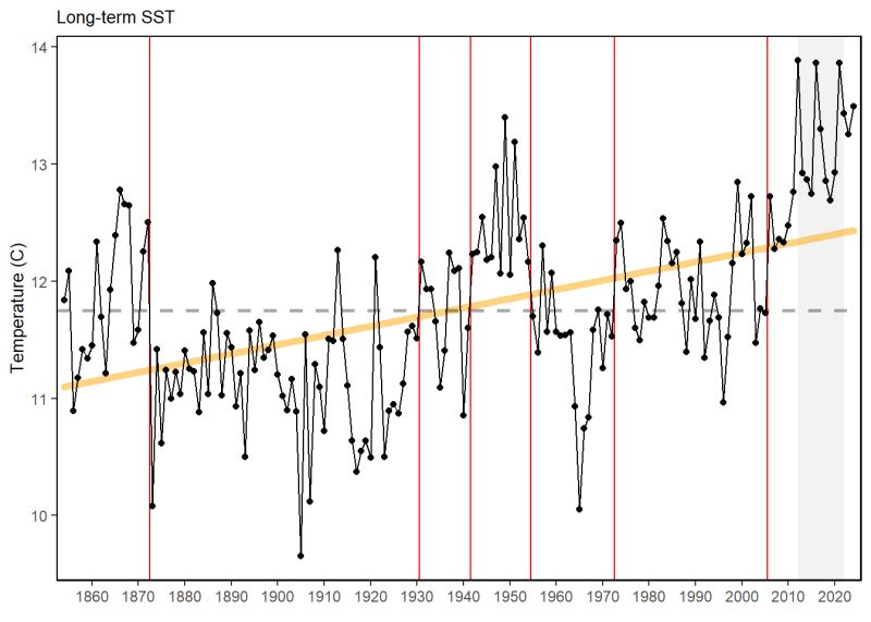 What Is A Regime Shift - Best Colorful Images in 4K