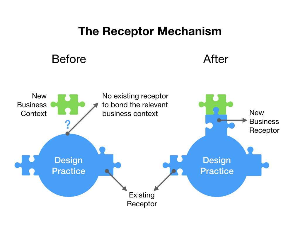 Receptor_Mechanism