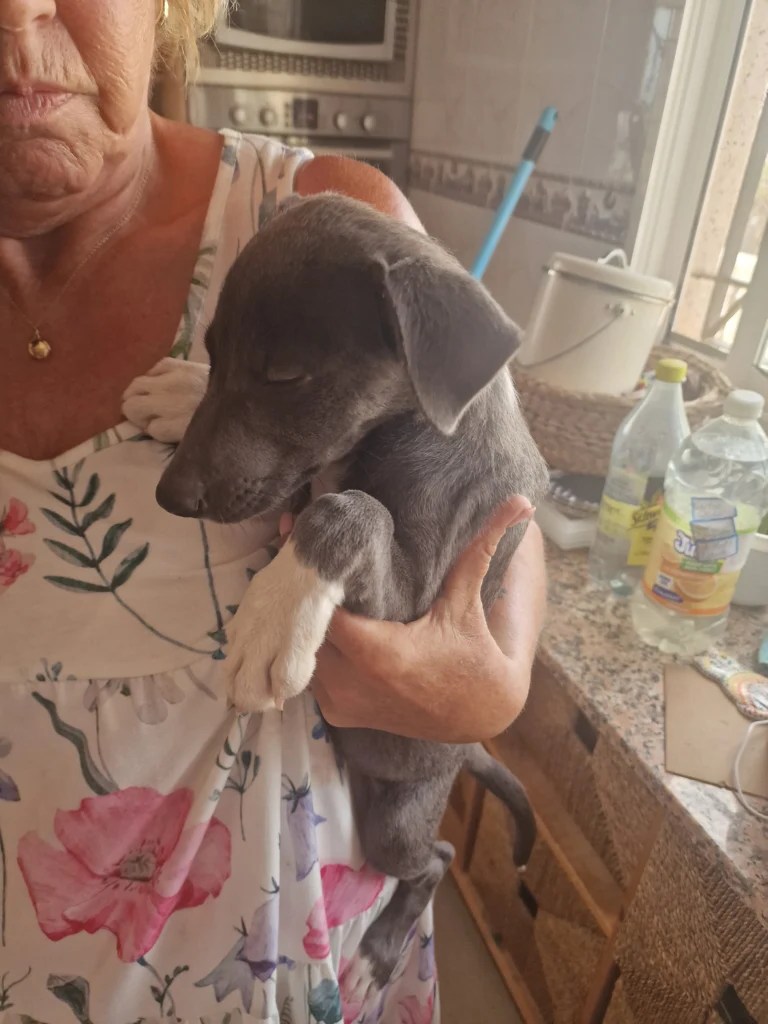 Female Found 20260817