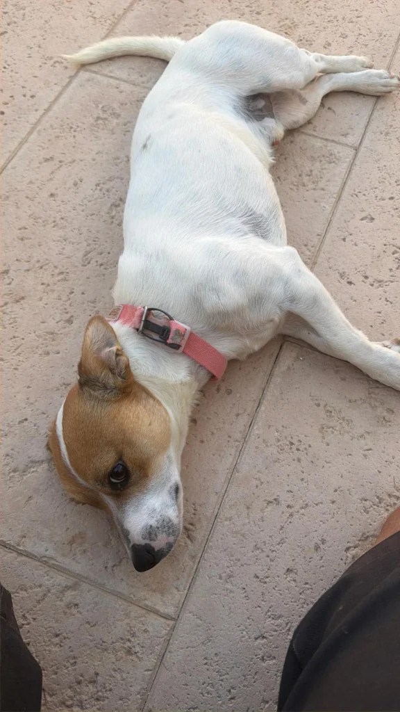 Milo