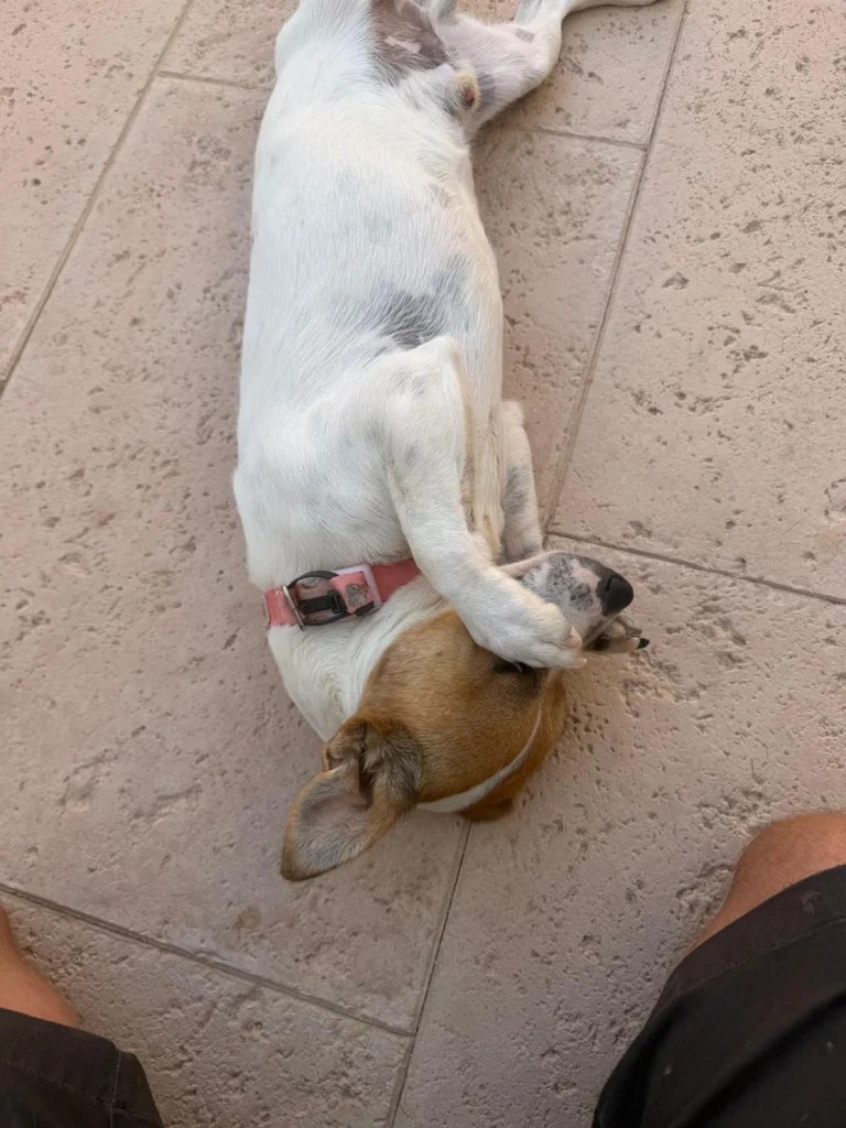 Milo