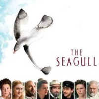 seagull_profile
