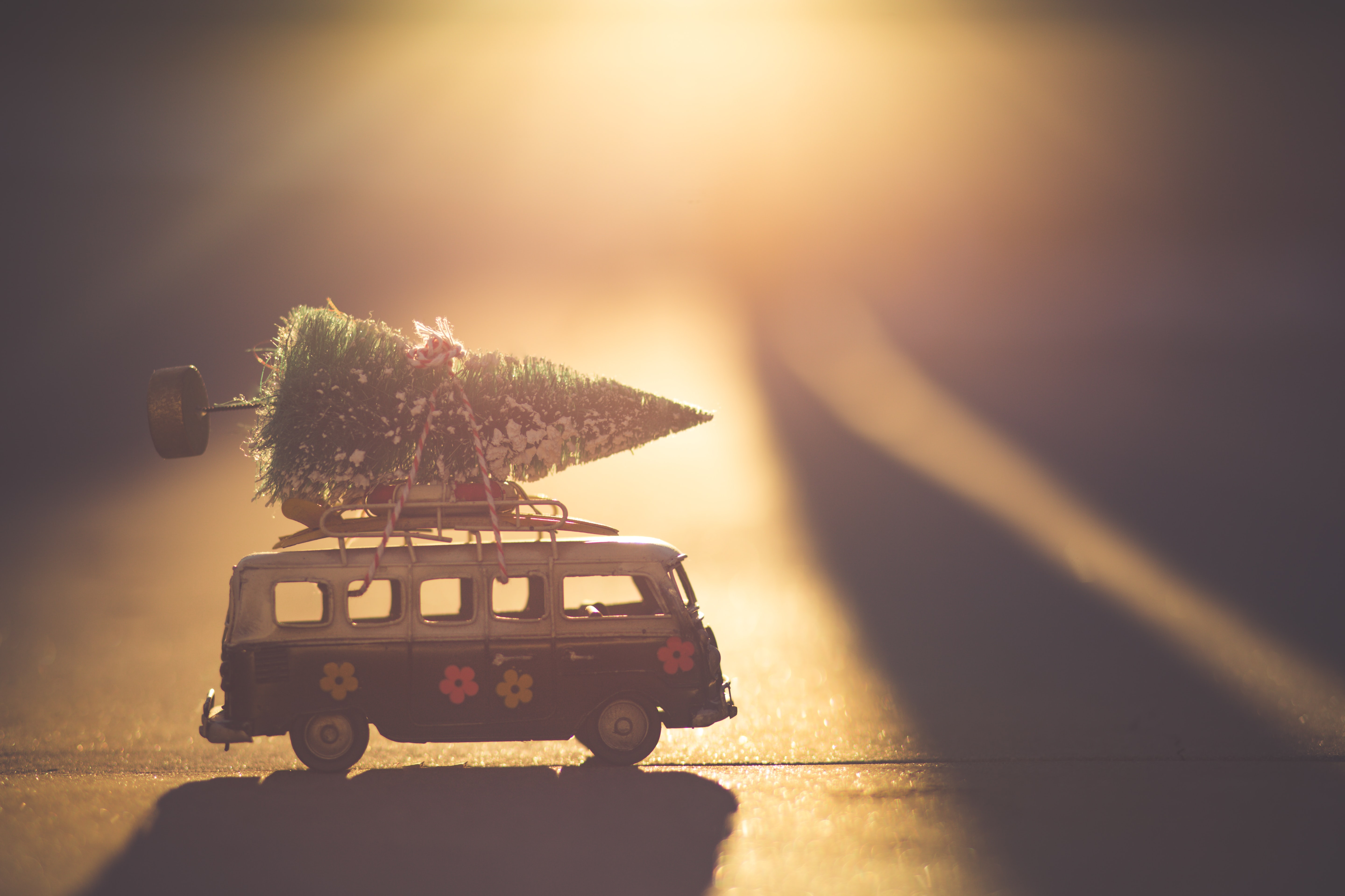 how-to-prepare-for-black-friday-2022-no-best-practices