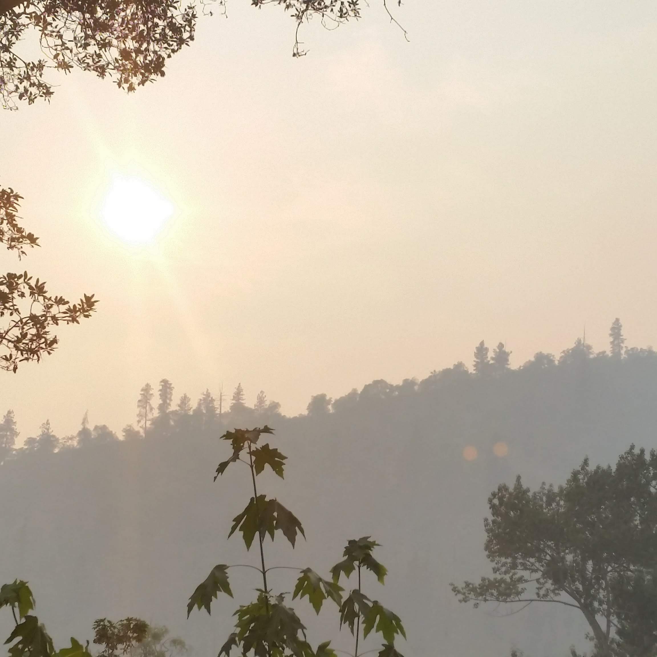 I couldn't hardly see the sun