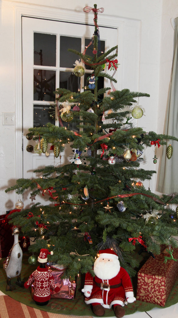 Make your real christmas tre. Tannenbaum Customer Comments And Photos