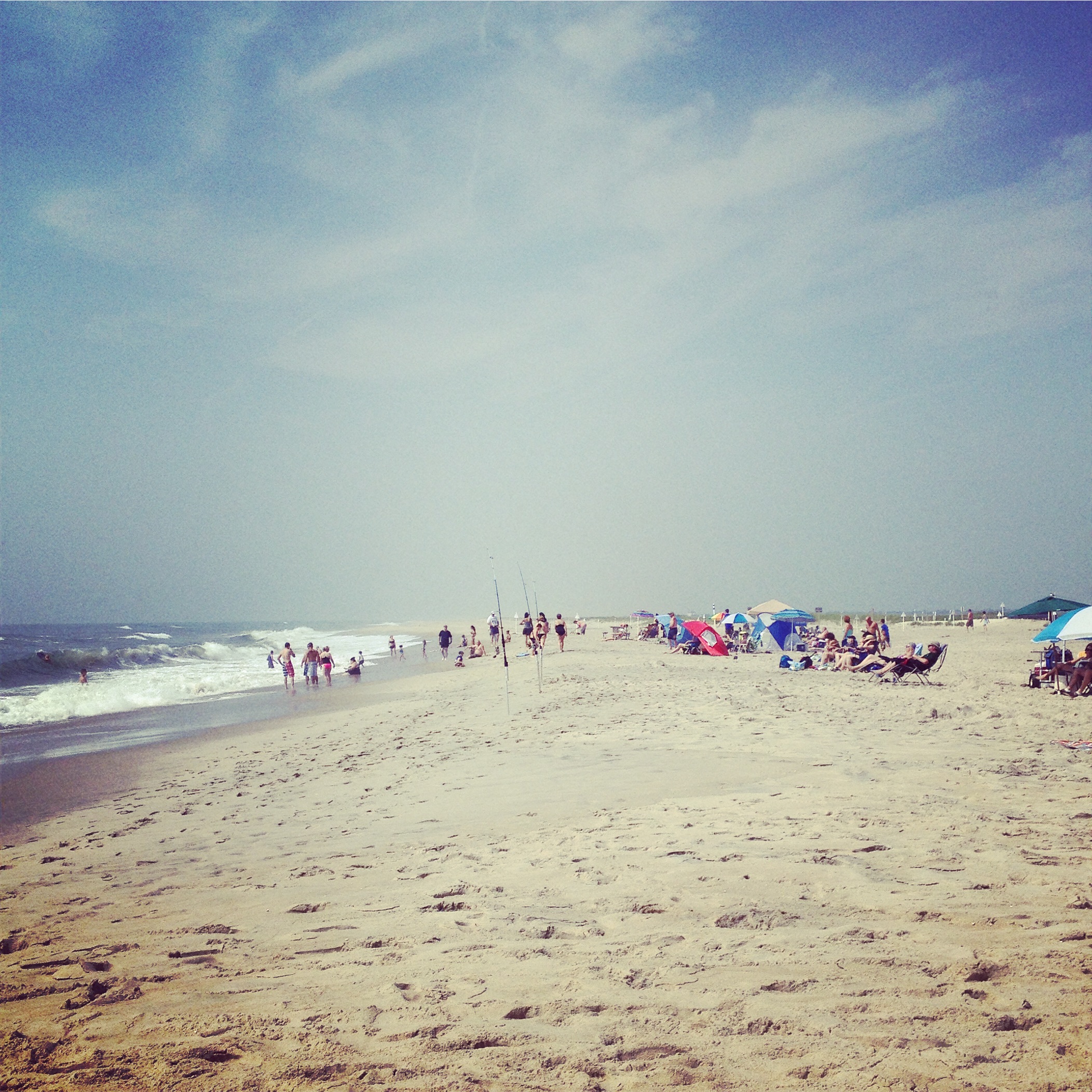 Assateague Beach