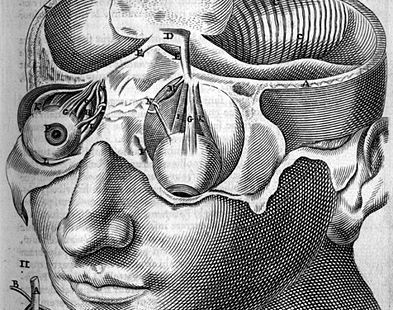 Opening Minds with Minimal Fatalities: An Argument for Skepticism