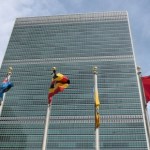 Myth: UN calls for small-scale organic farming