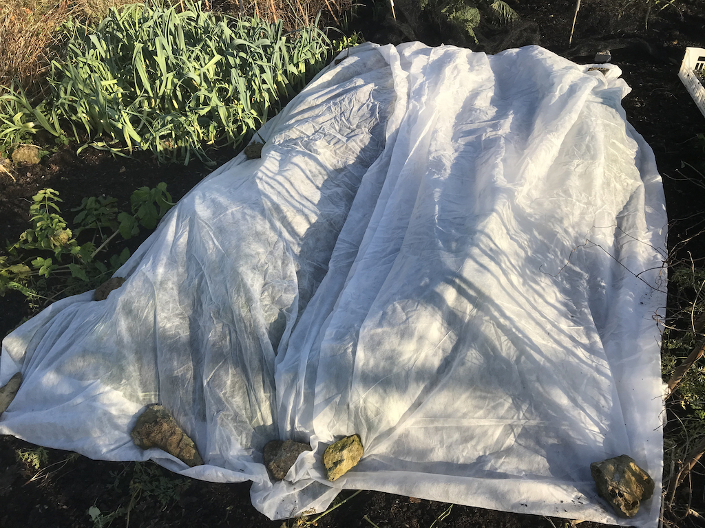 I use stones found on site to weigh them down