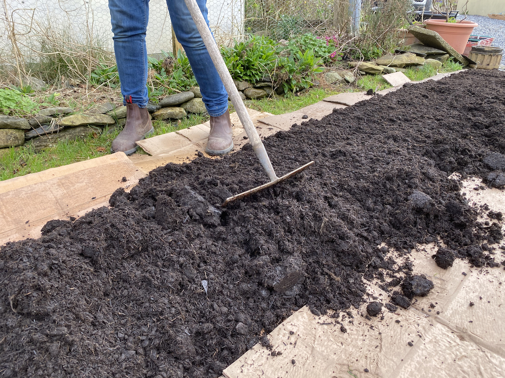 using a rake to make the beds
