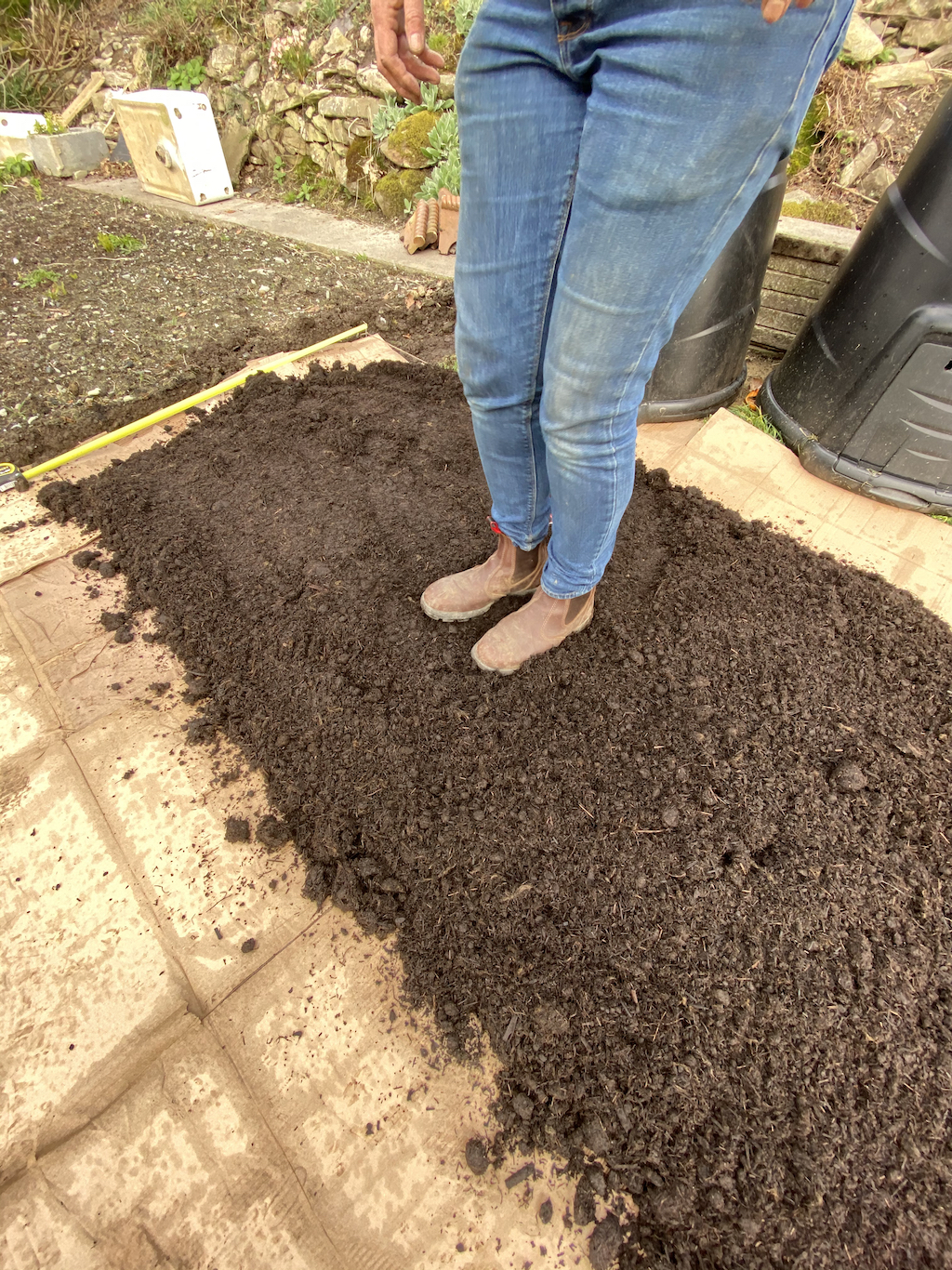 firm the compost gently