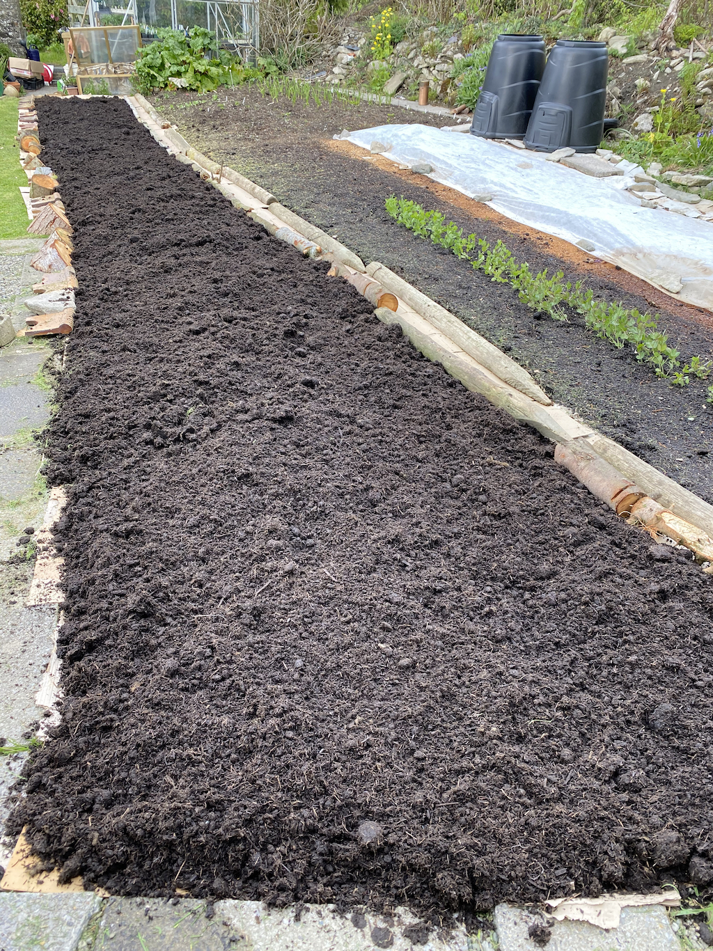 Bed 3 with fluffed up compost