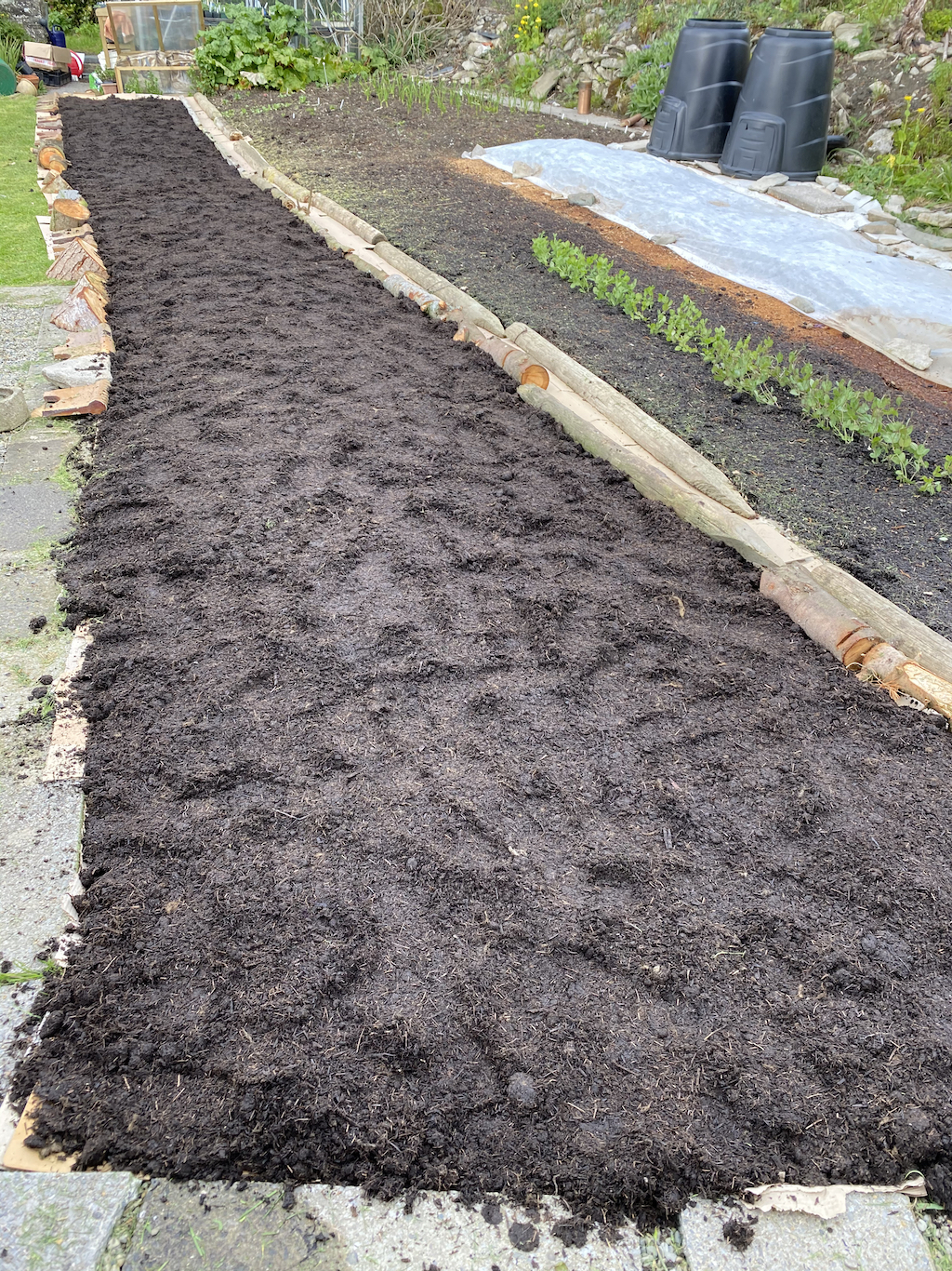 Bed 3 after the No Dig Dance - May 12th