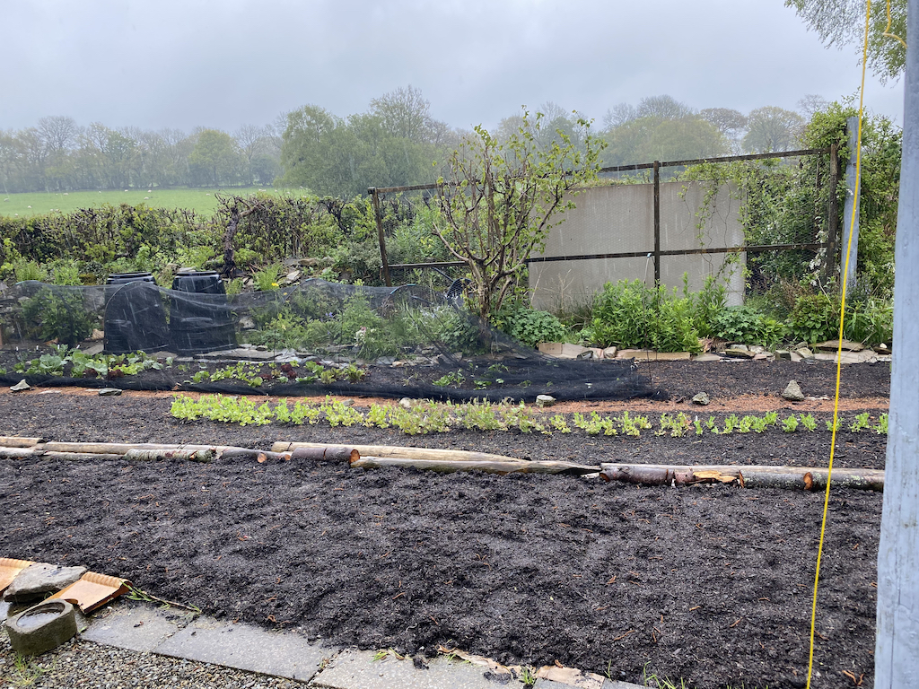 Beds, May 22nd in the pouring rain