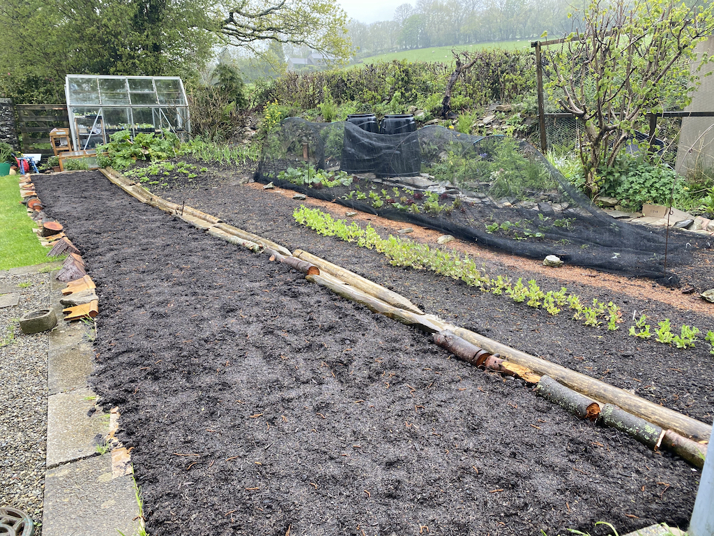 The beds on May 22nd