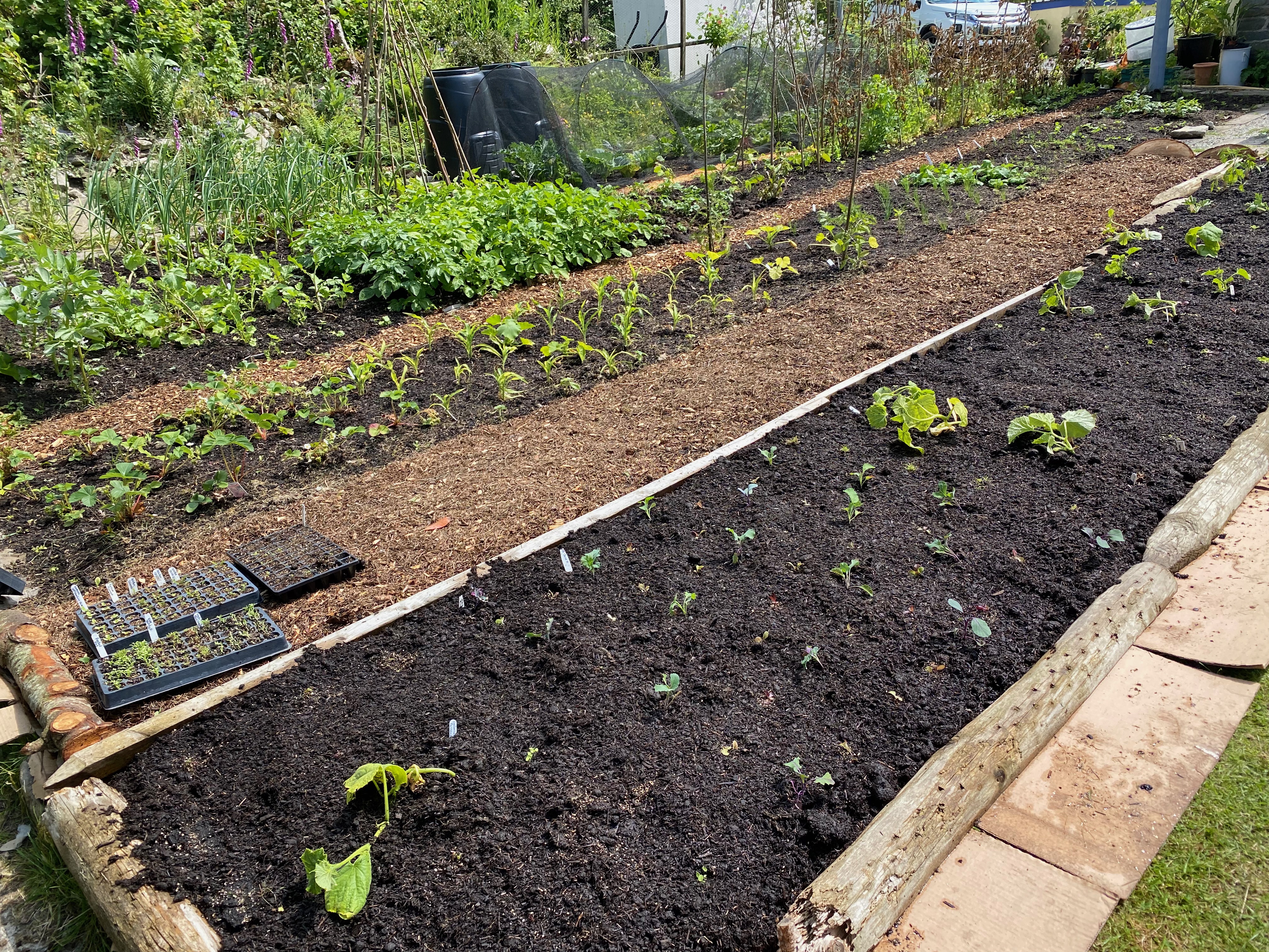 This bed was made and planted in a day