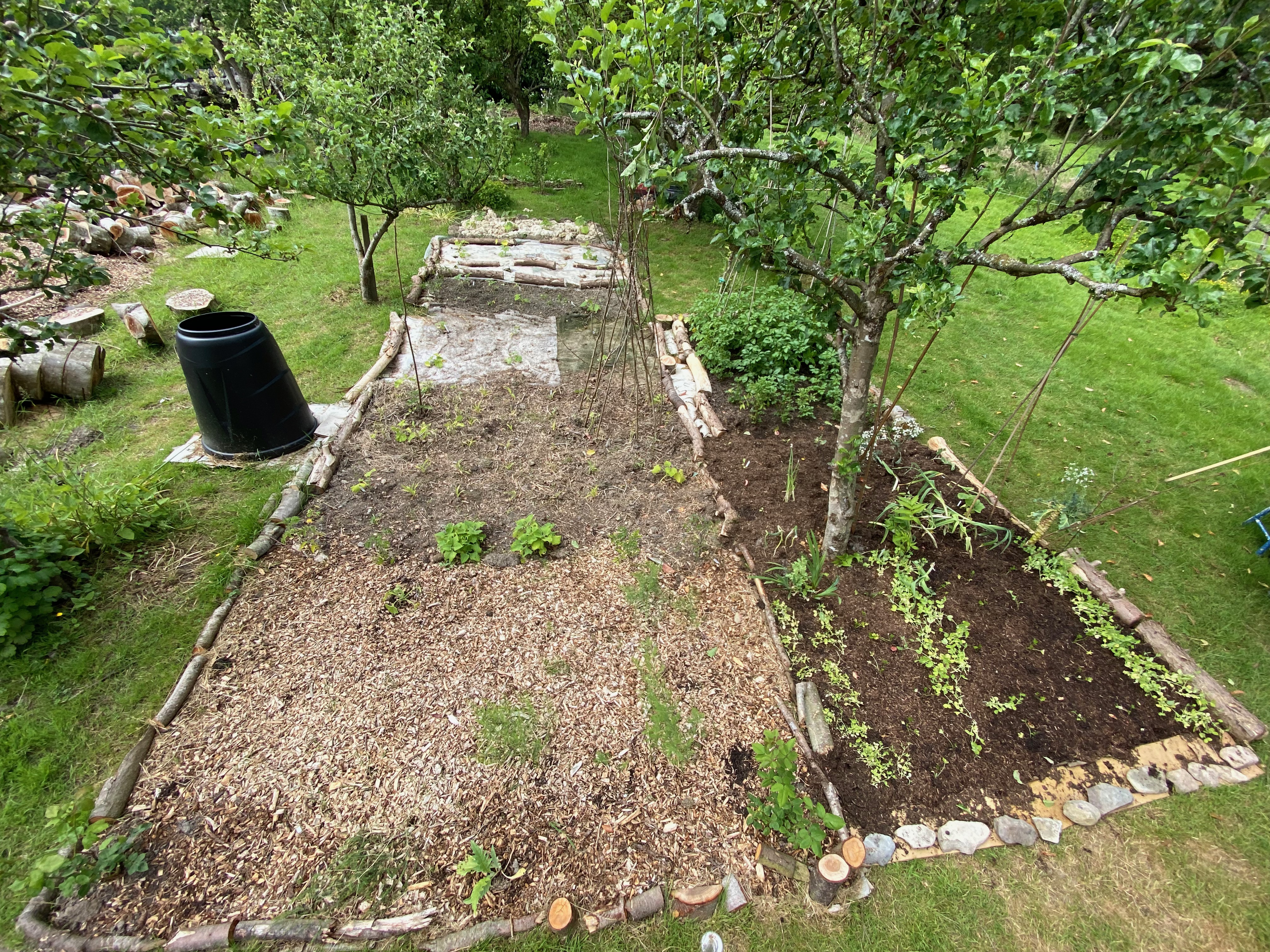 some of the orchard beds
