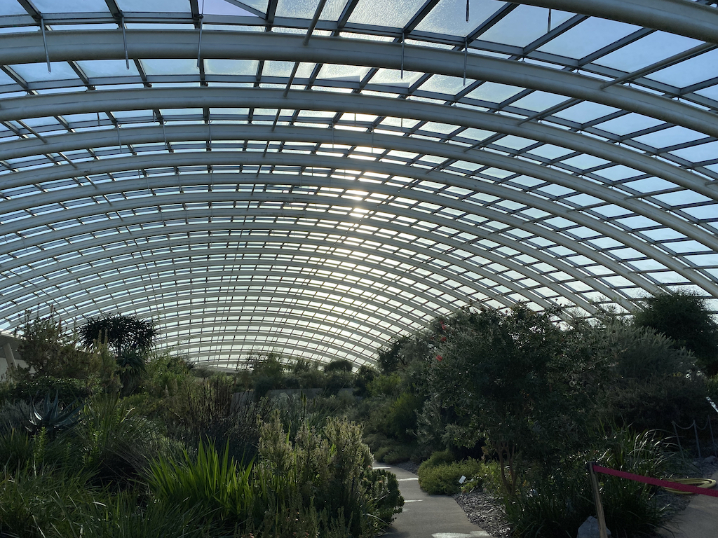 inside the glasshouse