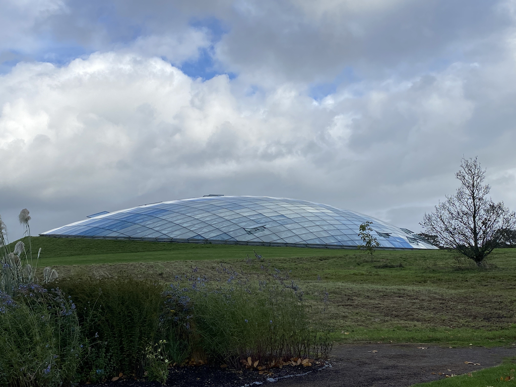 glasshouse at the botanic gardens