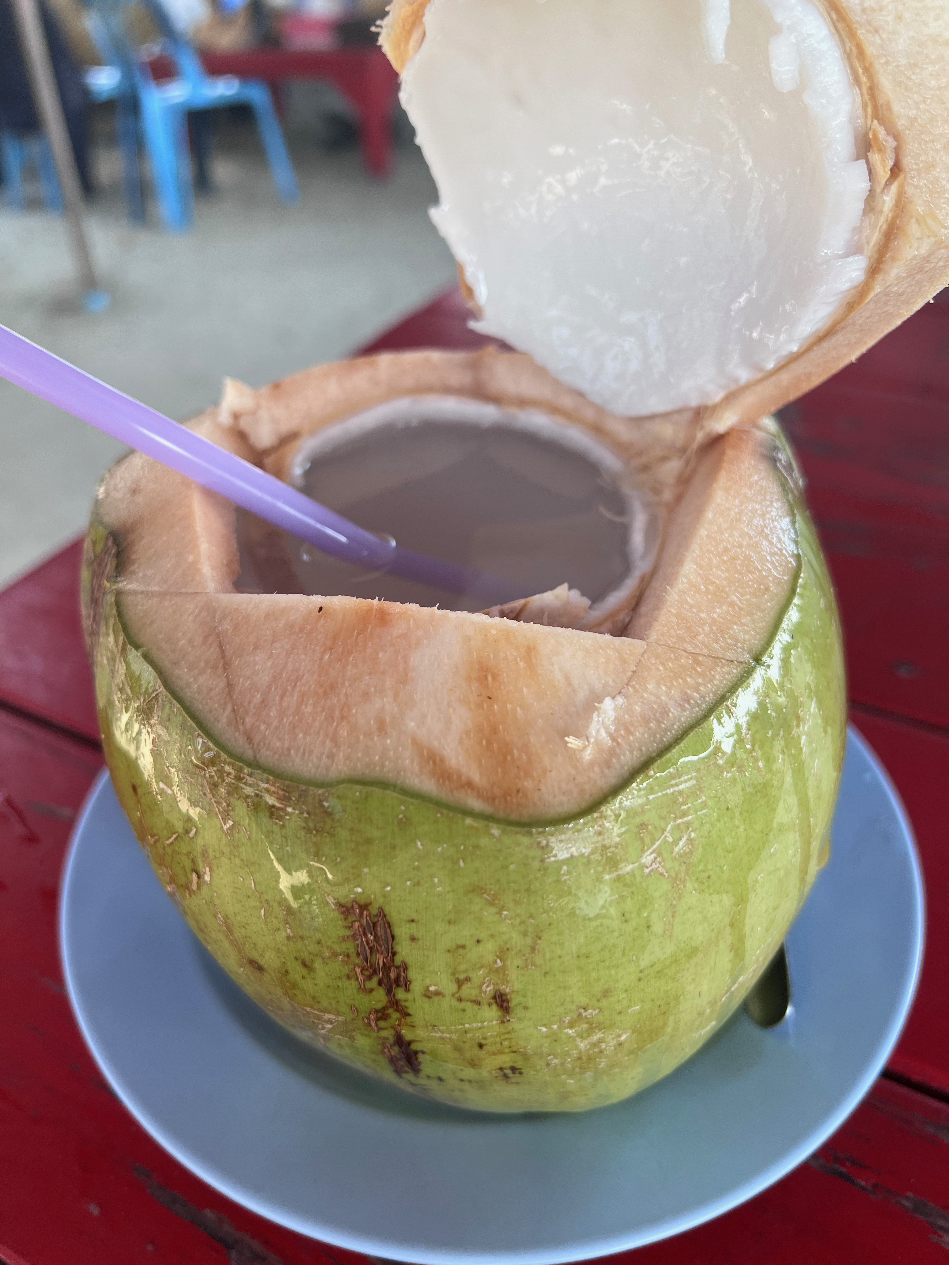 green coconut opened so it can be drunk, with a straw in
