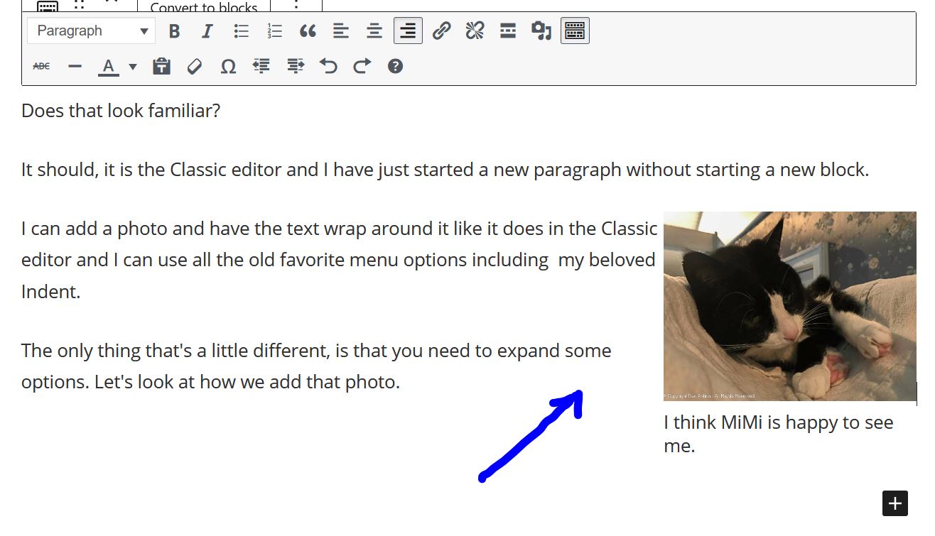 By setting Right-Alignment and shrinking the image, I can have the text wrap around it, I started with the cursor next to the "I can add" paragraph.