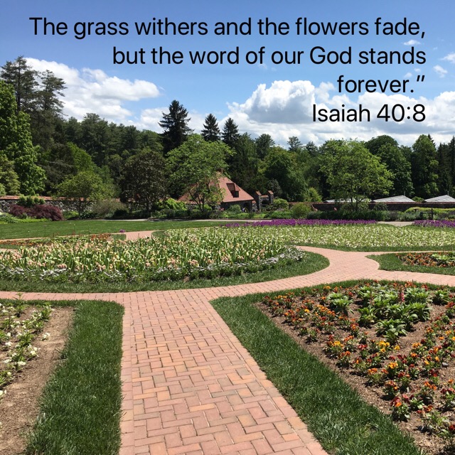 flower quote