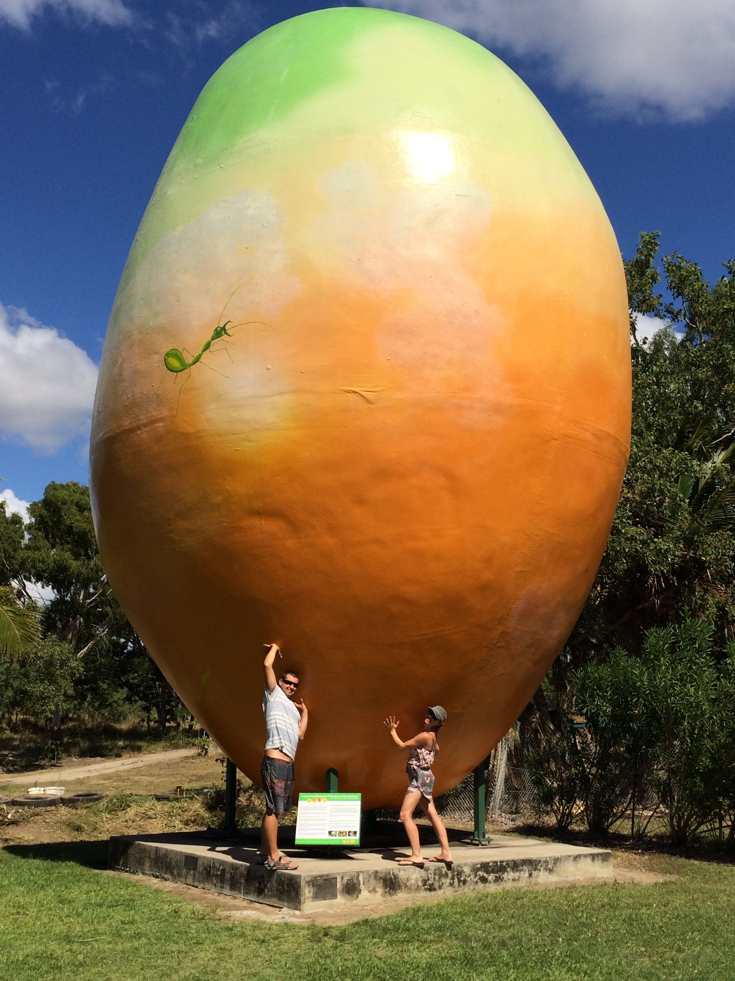 The big mango!