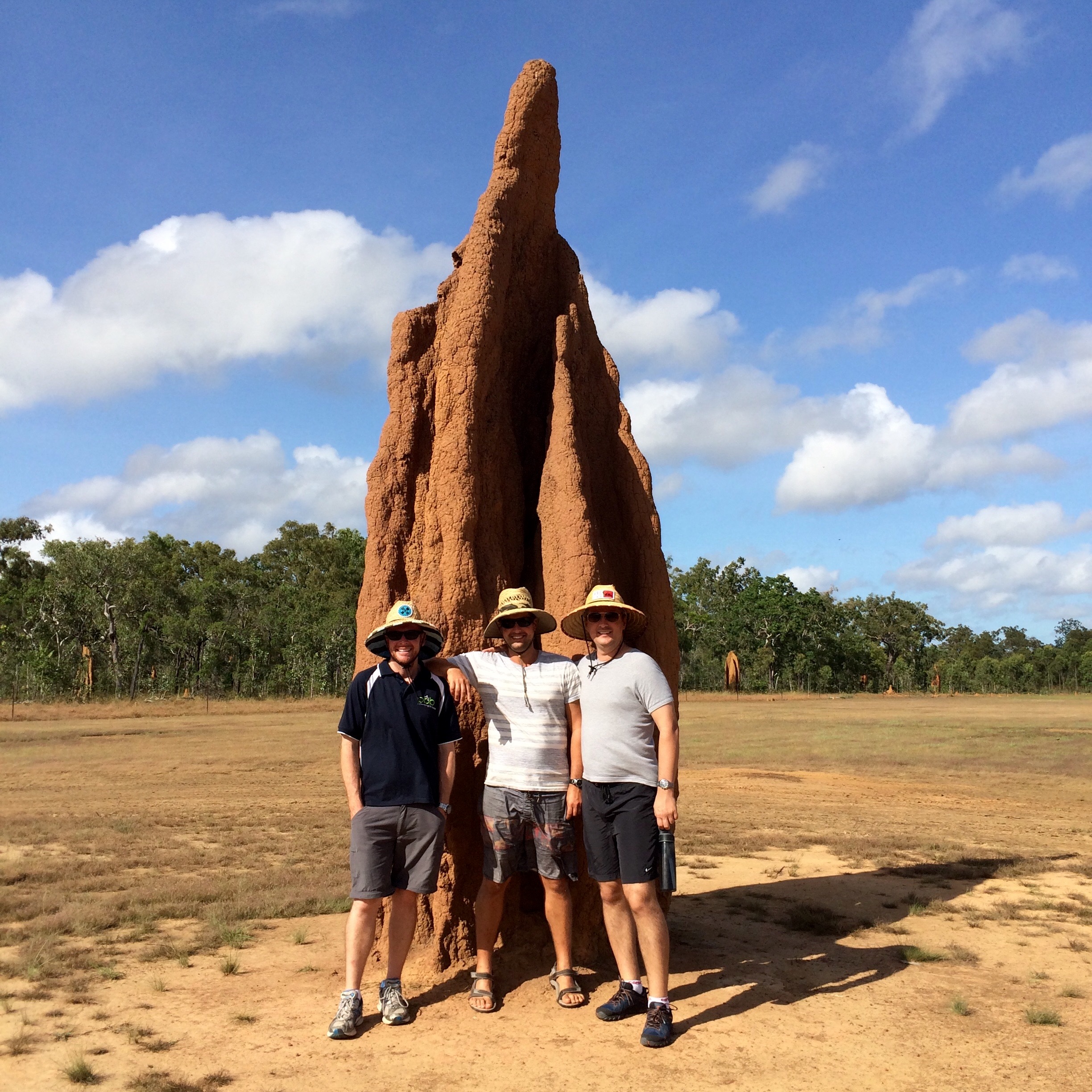 The Mexicans and a termite mound