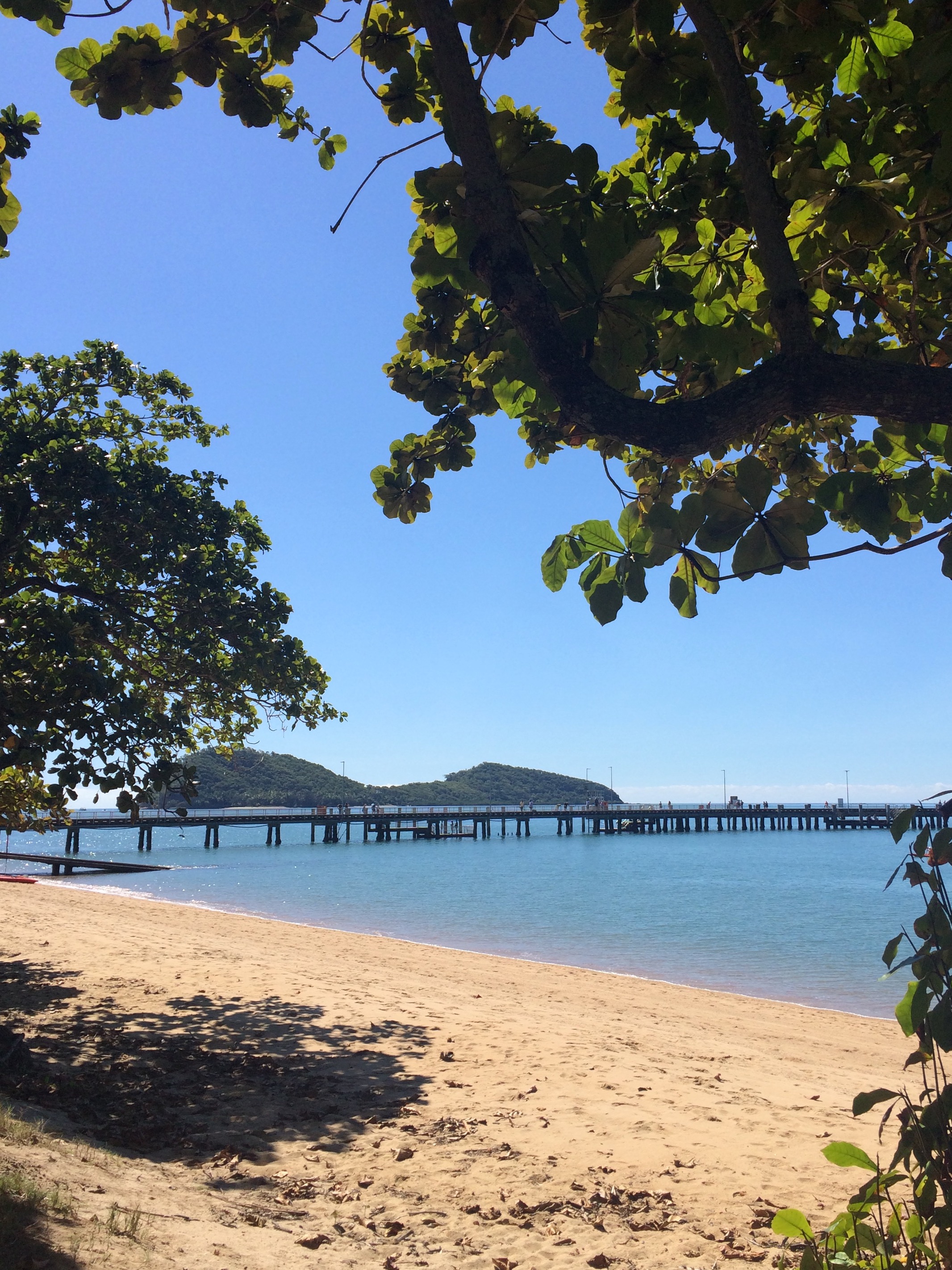 Another beautiful day in Palm Cove