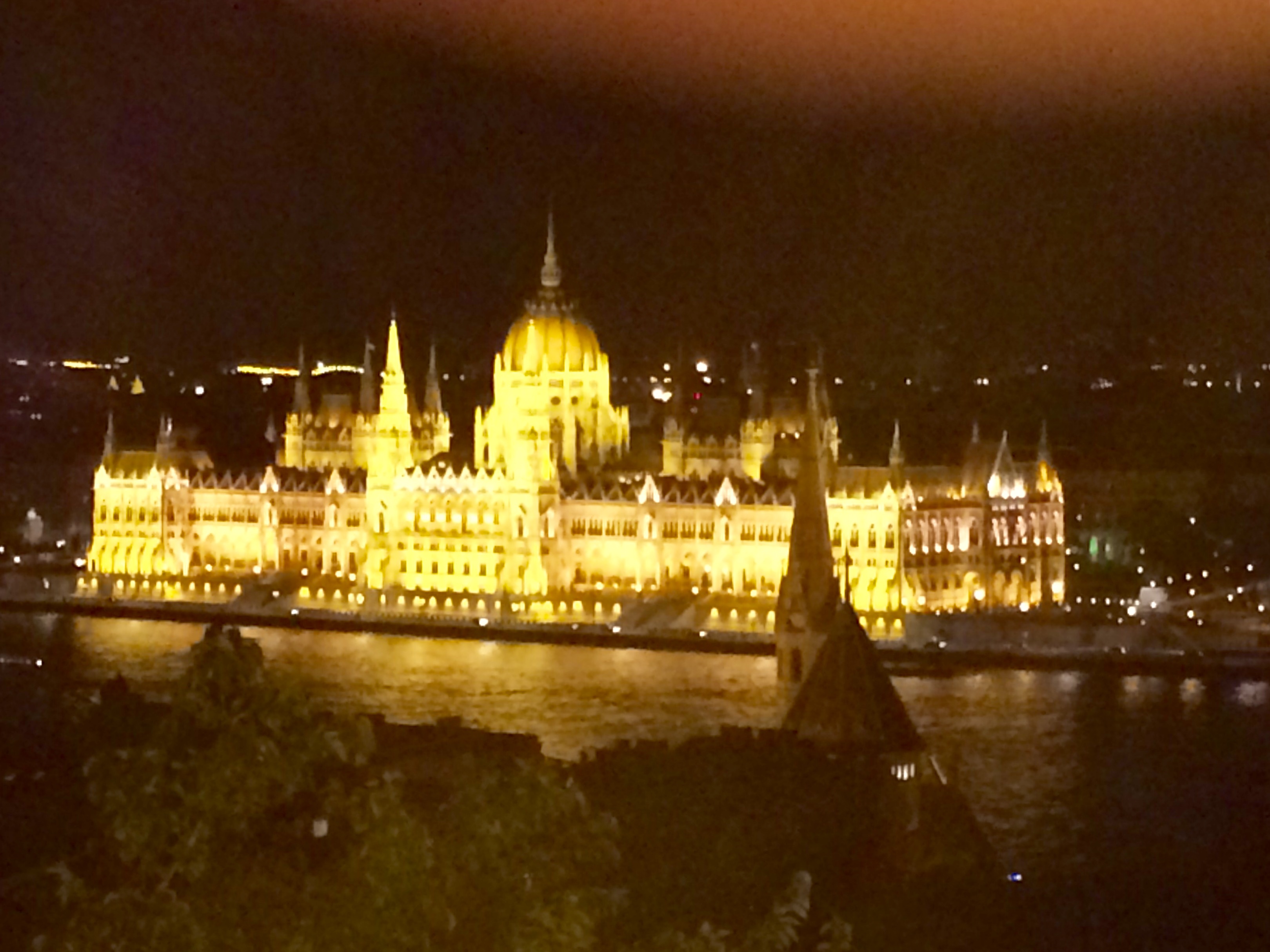 Parliament House view from Buda