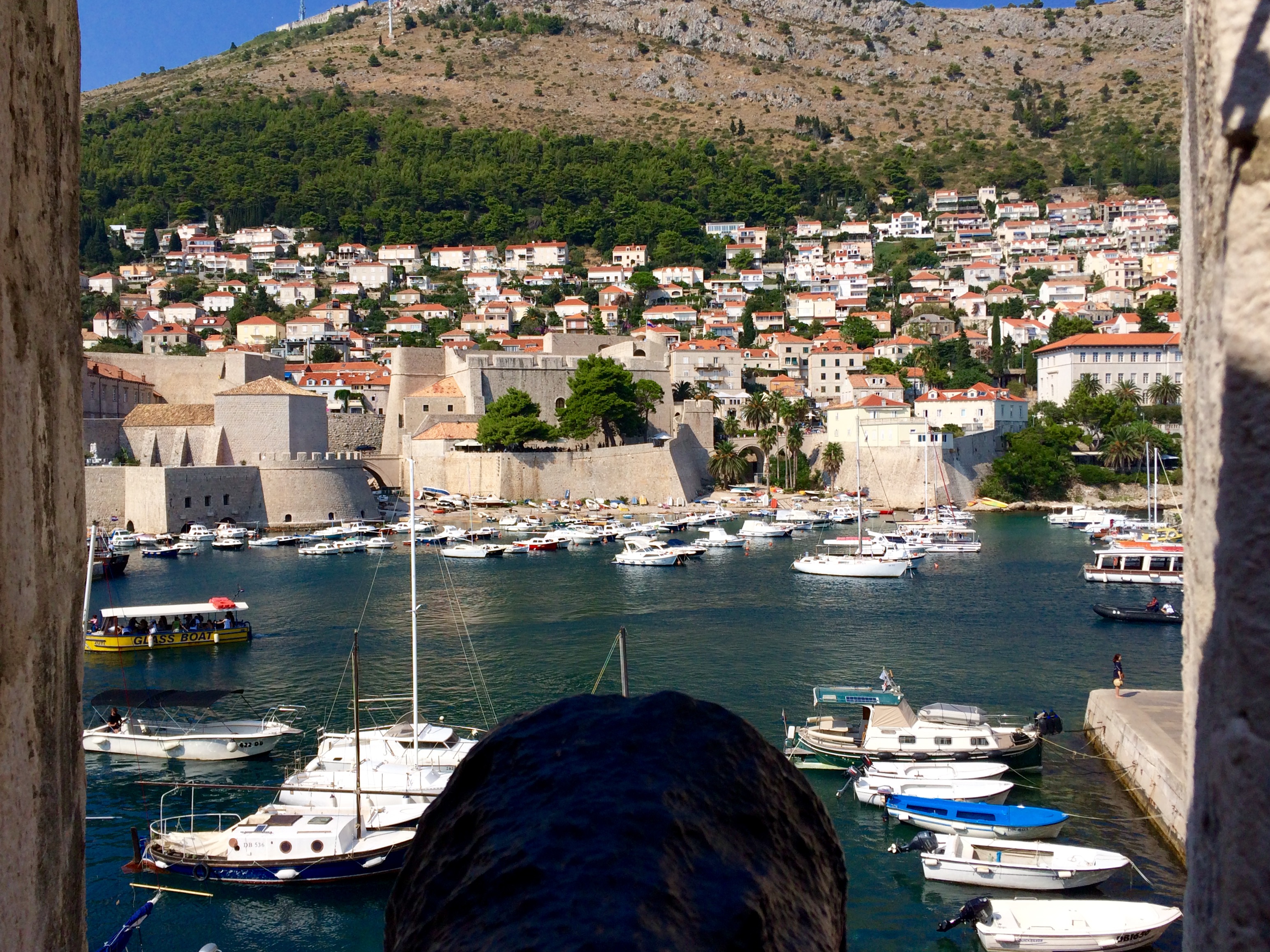 The harbour viewed from the walls