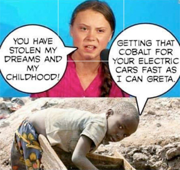 Greta thunberg meme