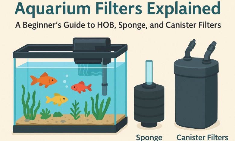 Aquarium Filters Explained