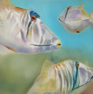 Kristie Fujiyama Kosmides 'Humuhumunukunukuapuaas Square', Rolled Giclee Print, custom sizes