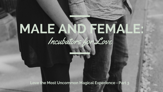 20170122 NLC Blog - Male and Female- Incubators for Love