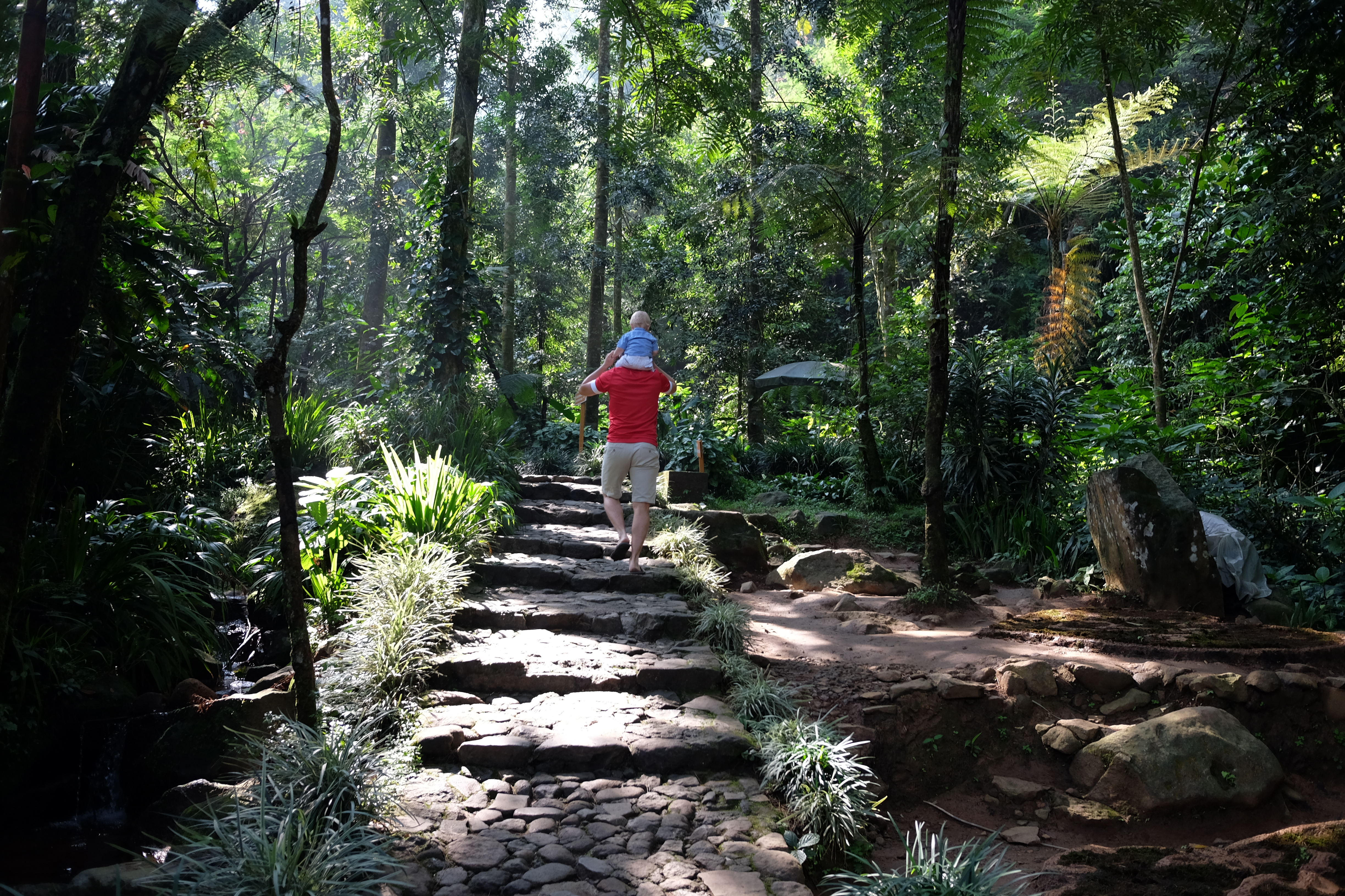 Det startede sådan her