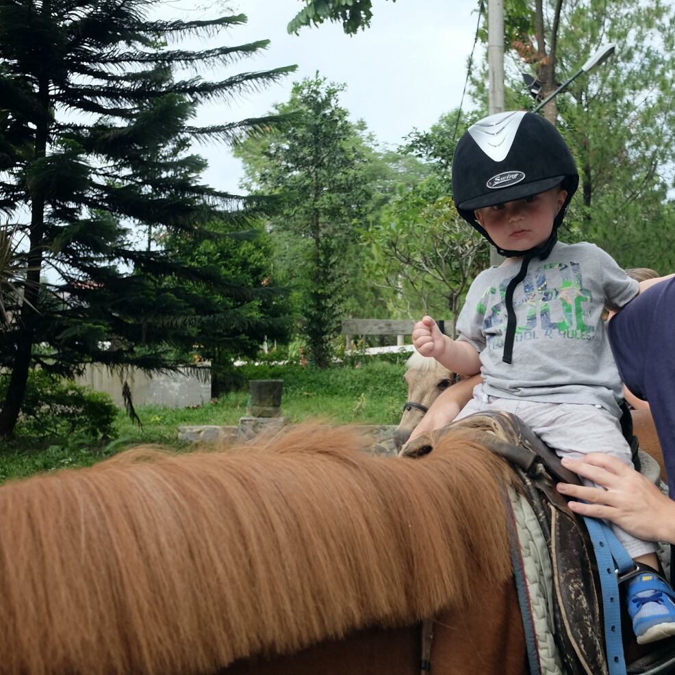 Besøg på rideskolen