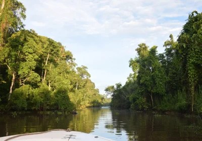 Hidden Gem Lover’s Guide to Kinabatangan – Your Essential Guide (2026)