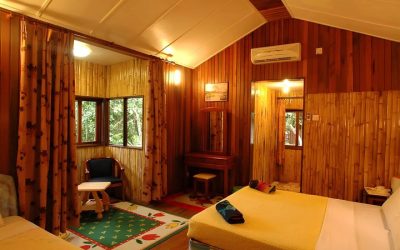 Sandakan: 2D1N Bilit Lodge River Cruise and Wildlife Tour