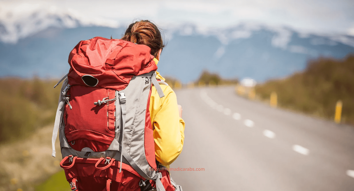 أنواع المسافرين: المسافر الاقتصادي