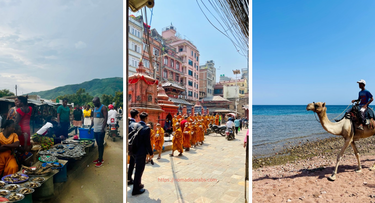 تأثير صناعة السياحة على البيئة