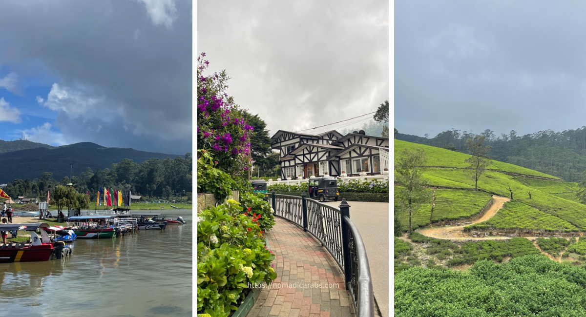 سريلانكا: ما الذي يجعل نوارا إيليا مميزة؟