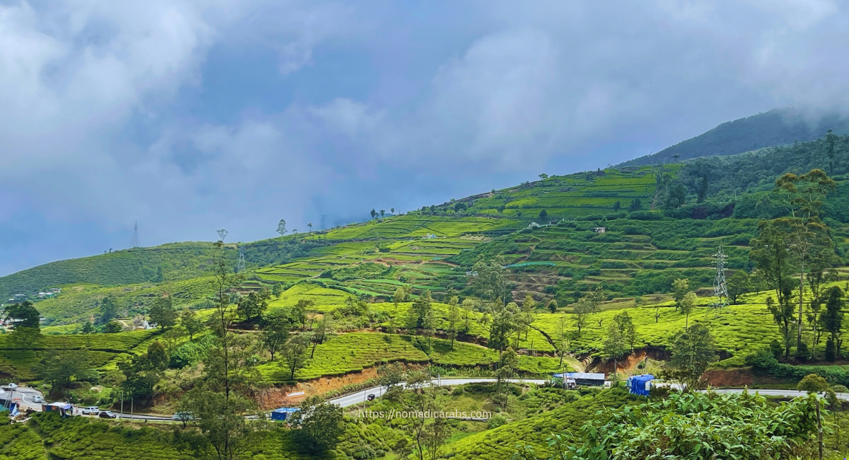 سريلانكا: ما بين الشاي والقهوة في نوراليا